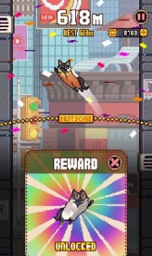 cat jump