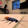 ģ