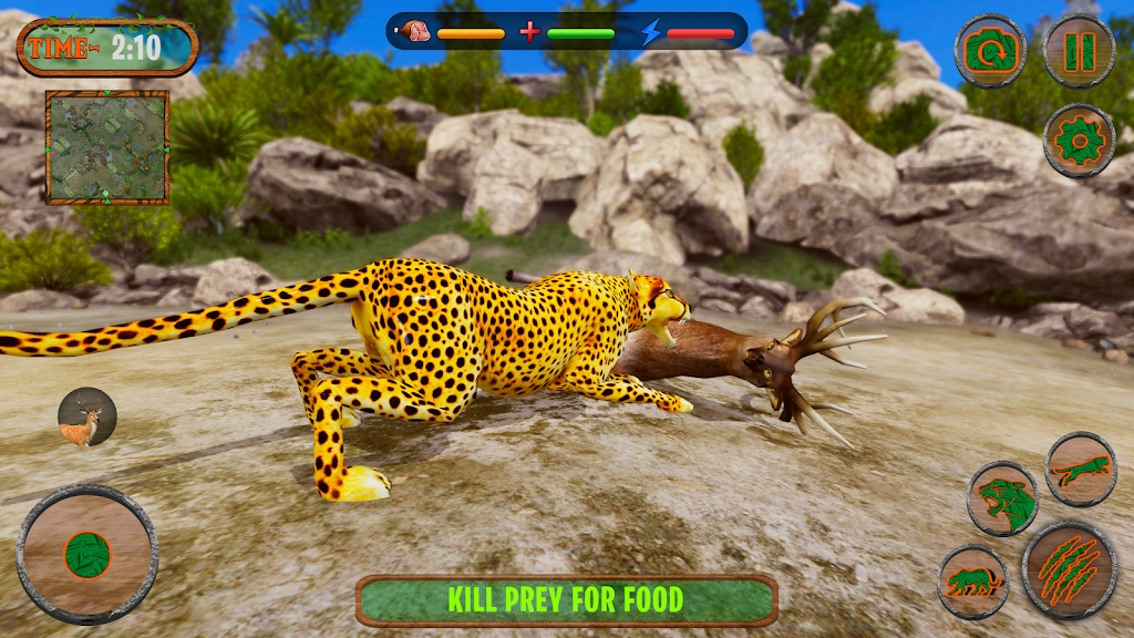 jaguar Simukator wildcats