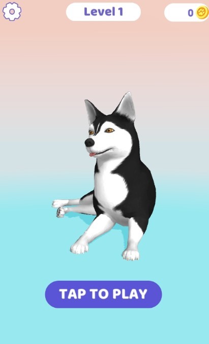 animal asmr