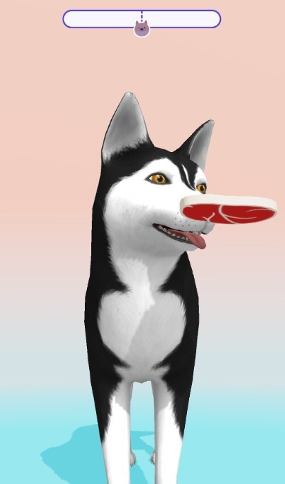 animal asmr
