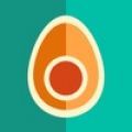 avocation