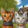 èģ(Cat Sim)