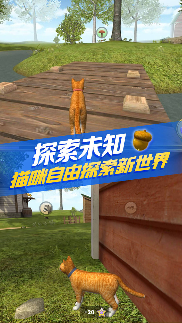 èģ(Cat Sim)