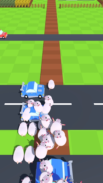 VS·(Animal VS Road)