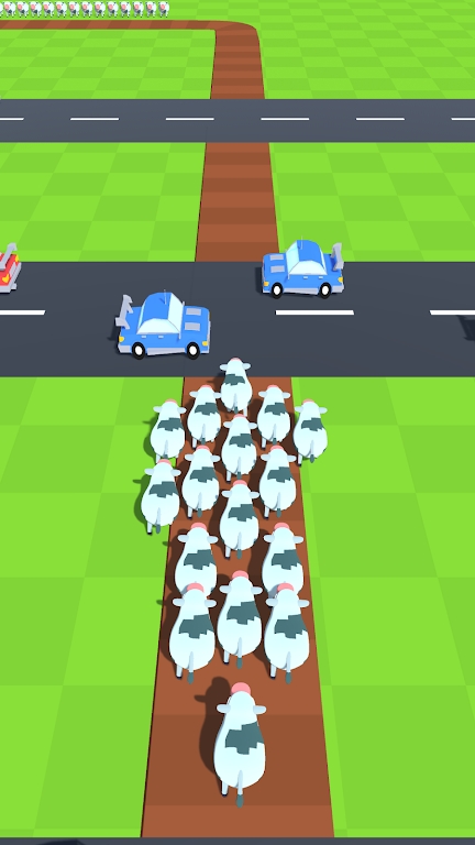 VS·(Animal VS Road)