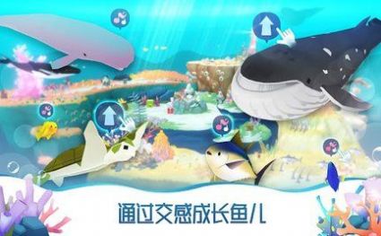 þ(HELLO WHALE)