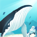 þ(HELLO WHALE)