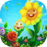 ٴ(Blossom Bud)