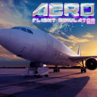 շģ(AERO Flight Simulator 2022)