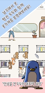 װ(동물옷가게)