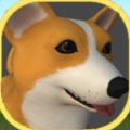 Ȯð(Shiba Coffee Adventures)