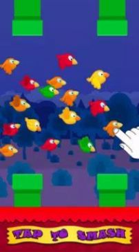 ȤС(FunBirdsGame)