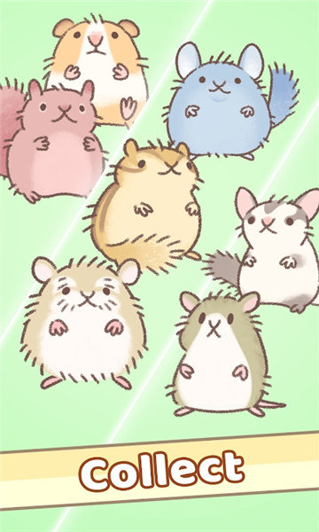 (HamsterRace)