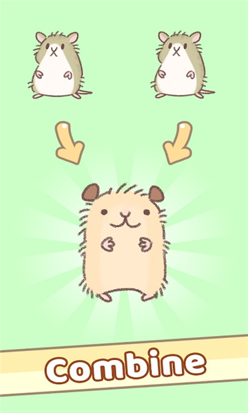 (HamsterRace)