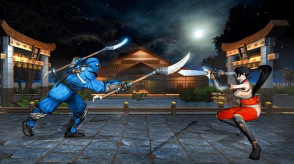 ߸(Kung Fu Ninja fight)