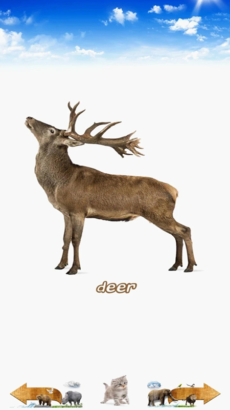 ģ