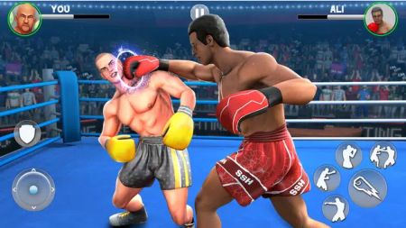自由搏击(KickBoxing)