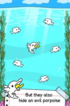 (DolphinEvolution)