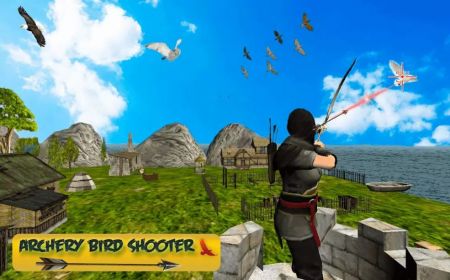 Է(BirdHuntingMania)