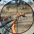 Ұ⶯(WildAnimalShooting)