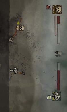 ˫