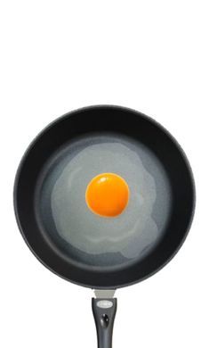 FriedEgg