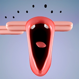 ģ