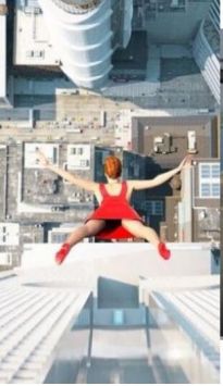 ŷ(TrytoFly)