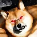 Ȯ(BackroomsBuffDoge)