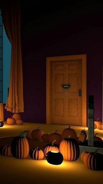 ʥ(Halloween)