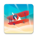 ճ(SkySurfing)