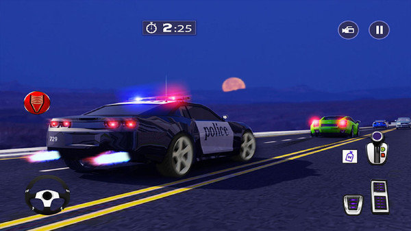 ٹ·׷(Police Highway Chase)