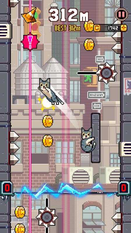 Ծ(Cat Jump)
