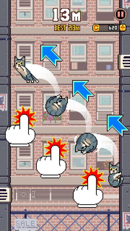 Ծ(Cat Jump)