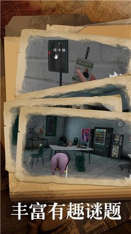 ֽ