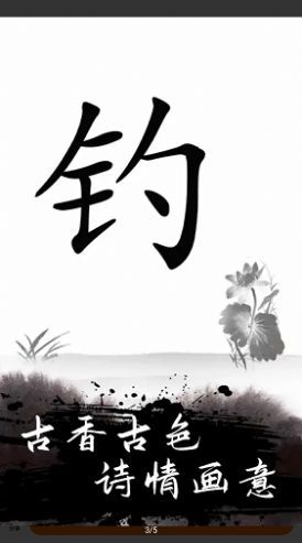 ˫