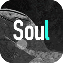 soul(元宇宙社交)