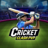 板球冲突(Cricket Clash) v3.0.2