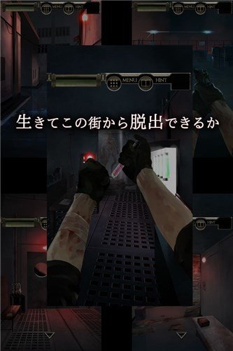 Ⱦ