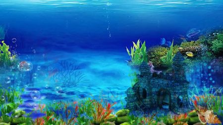 (Grow Your Fish)