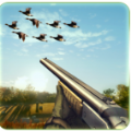 ҰѼ(Wild Duck Hunting)