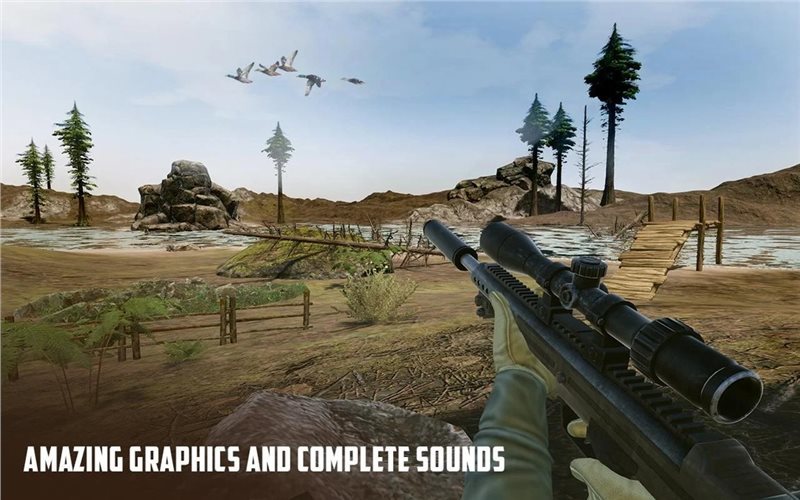 ҰѼ(Wild Duck Hunting)
