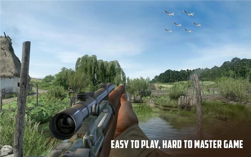 ҰѼ(Wild Duck Hunting)