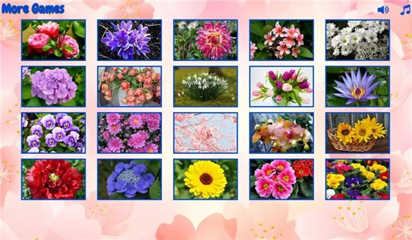 󻨵ƴͼ(Bigpuzzlesflowers)