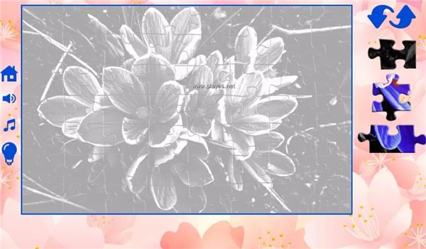 󻨵ƴͼ(Bigpuzzlesflowers)