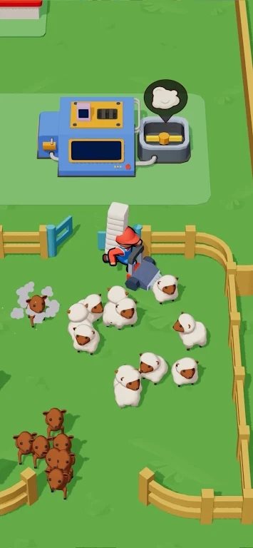 ũë(Sheep Farm C Wool Factory)