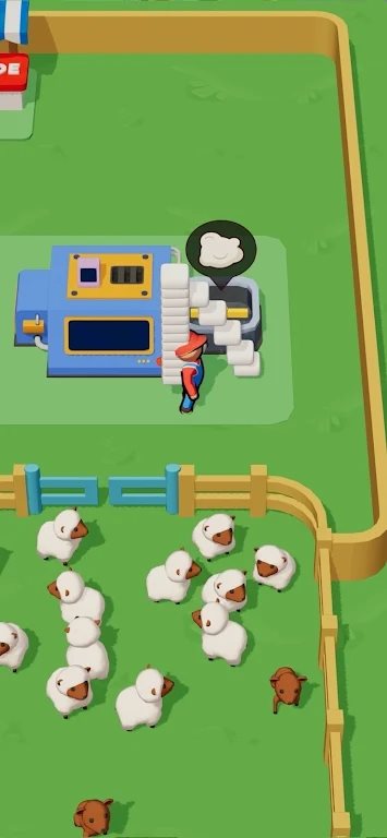 ũë(Sheep Farm C Wool Factory)