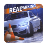 ͣģ3D(Real Car Parking 2017)