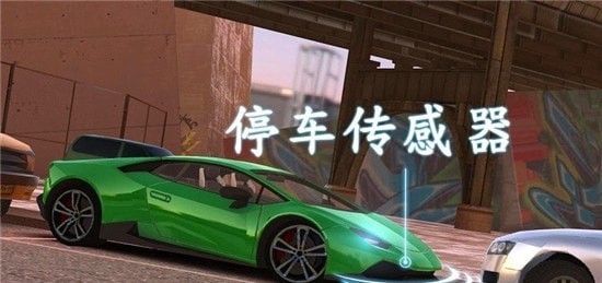 ͣģ3D(Real Car Parking 2017)